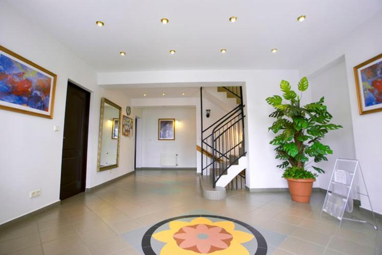 Dom Sonia Apartment Niechorze Bagian luar foto